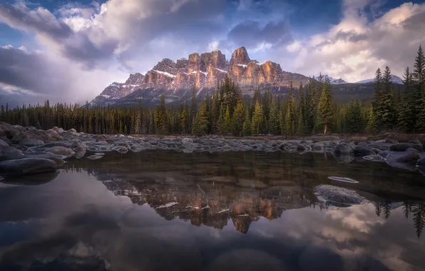 Forest, clouds, mountains, lake, reflection, stones, rocks, shore