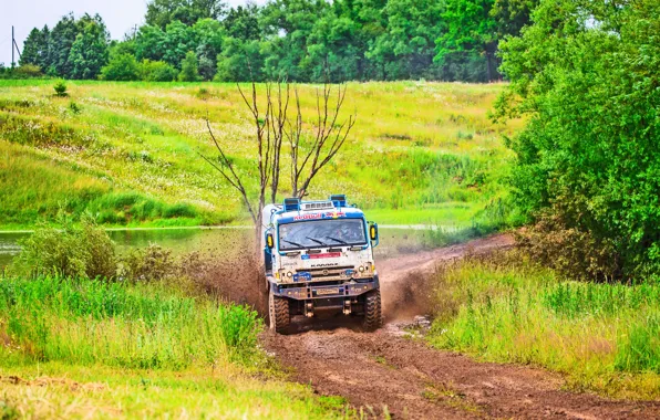 Nature, Grass, Trees, Sport, Speed, Race, Master, Dirt