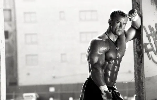 Pose, muscle, power, muscles, bandages, press, pose, abs