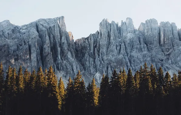 Forest, the sky, mountains, nature
