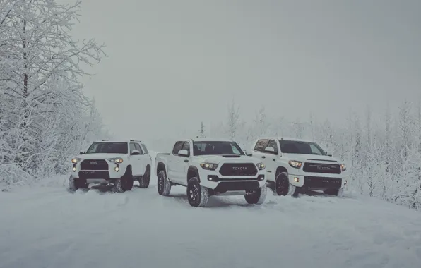 Winter, snow, white, Toyota, pickup, snow, pickup, TRD