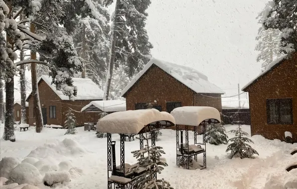 Winter, Park, Winter, Park, Snowfall, Snowfall, Snow Trees, Snow Trees