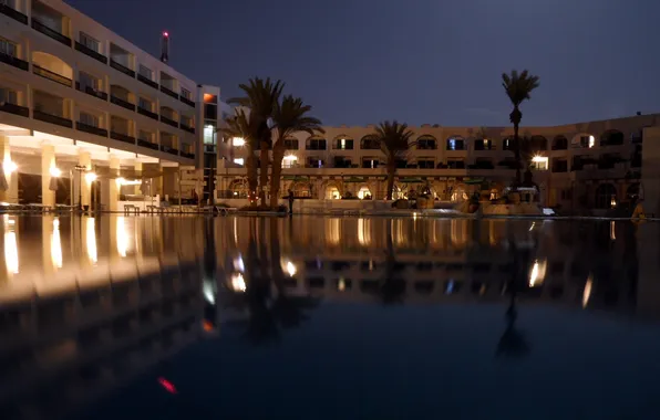 Water, lights, palm trees, Night, resort, Tunisia