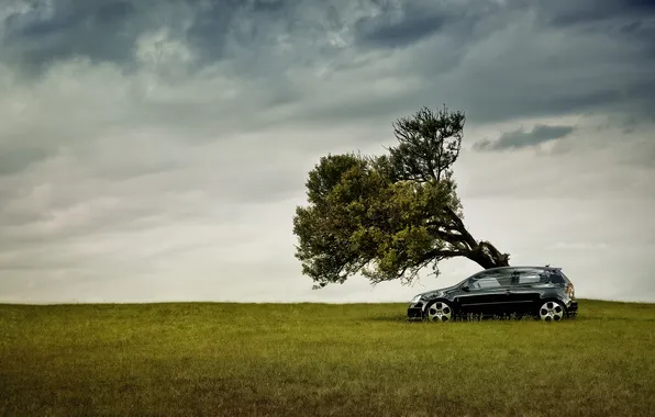 Picture field, the sky, nature, tree, Volkswagen, drives, black