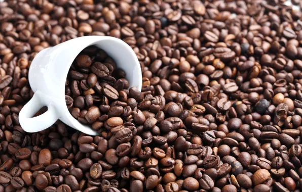 Coffee, Cup, coffee beans