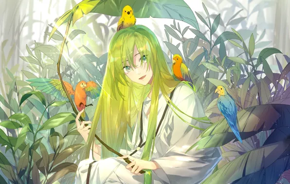 Picture nature, anime, art, parrot, Fate / Grand Order