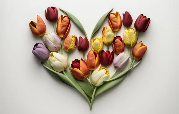 Love, holiday, heart, feelings, spring, tulips, heart, March 8