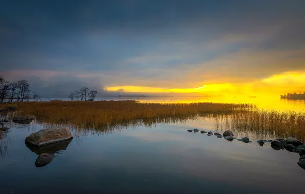 Forest, the sky, trees, sunset, lake, stones, shore, reed