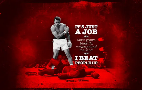 Sport, Boxing, knockout, champion, boxer, Mohammed Ali, Ali