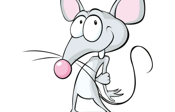 Picture mouse, white background, embarrassment, mouse, white background, confusion