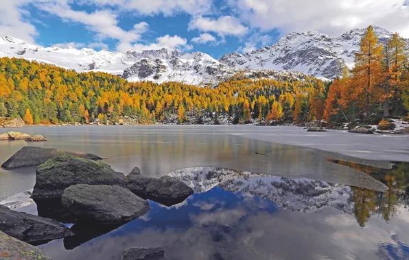 Picture Alps, snow, mountains, trees, shore, forest, clouds, the sky