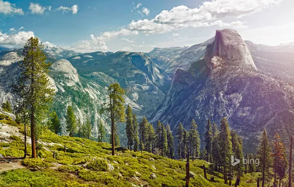 Snow, trees, mountains, nature, CA, USA, Yosemite National Park