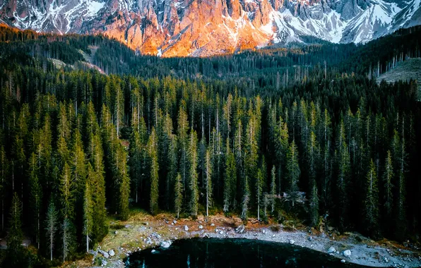 Forest, snow, trees, mountains, lake, rocks, shore