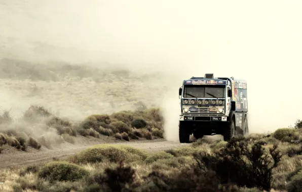 Road, sand, the sky, grass, blue, the steppe, dust, dal