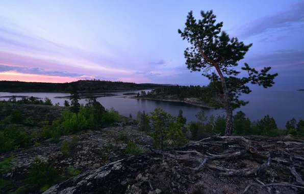 Picture white nights, Lake Ladoga, Karelia