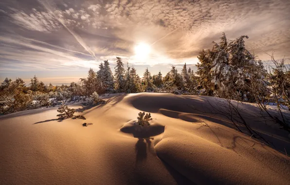 Winter, forest, the sun, clouds, rays, light, snow, trees