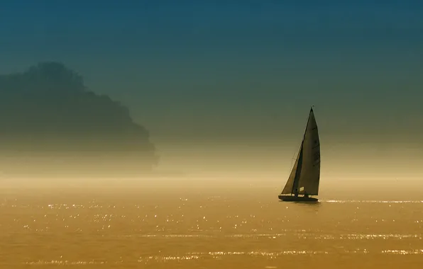 Picture the sky, trees, lake, boat, sail, haze