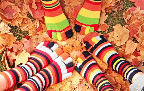 Picture autumn, leaves, feet, socks