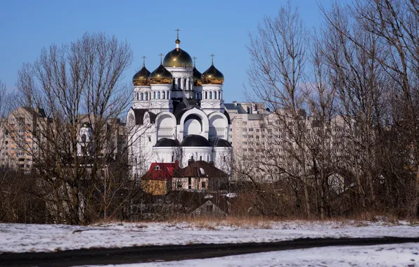 Snow, landscape, the city, Cathedral, Mogilev