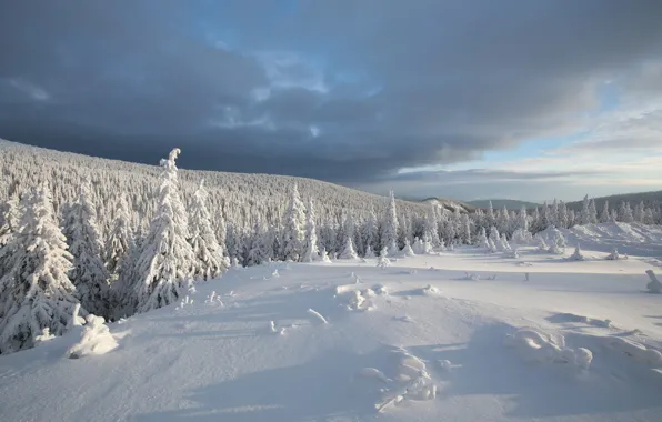 Winter, field, forest, the sky, clouds, snow, clouds, ate