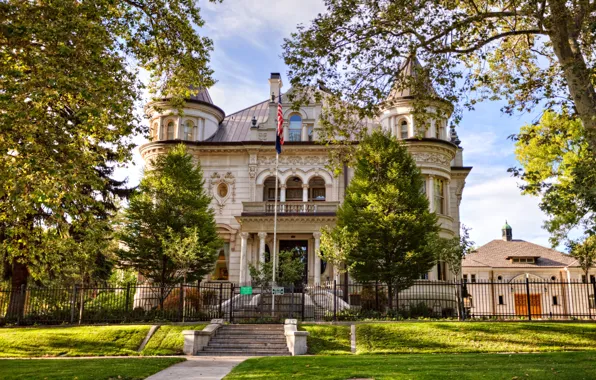 Grass, trees, lawn, the fence, home, CA, ladder, USA