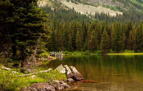 Picture forest, grass, trees, lake, stones, USA, Glacier National Park, Swiftcurrent Lake