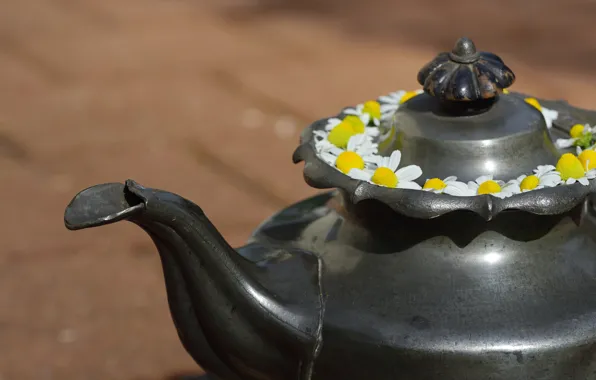 Flowers, metal, retro, background, tea, chamomile, kettle, cover