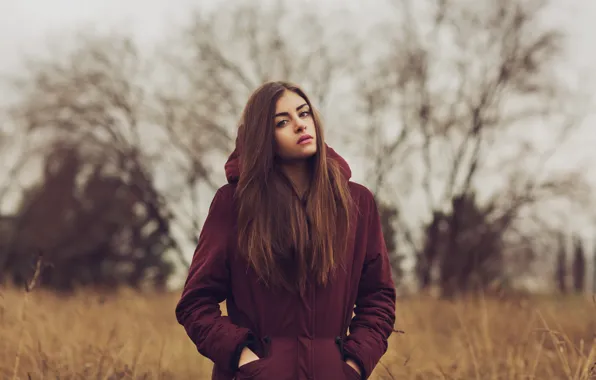 Picture hair, beauty, face, background, girl, look