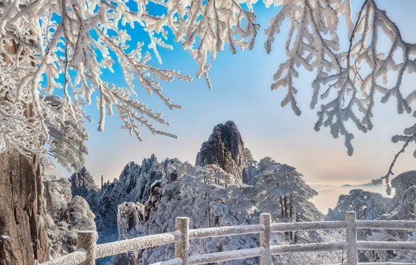 Picture winter, snow, trees, landscape, mountains, branches, nature, the fence