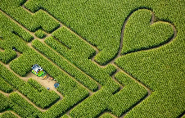 Heart, Germany, maze, cornfield, North Rhine-Westphalia, Herten