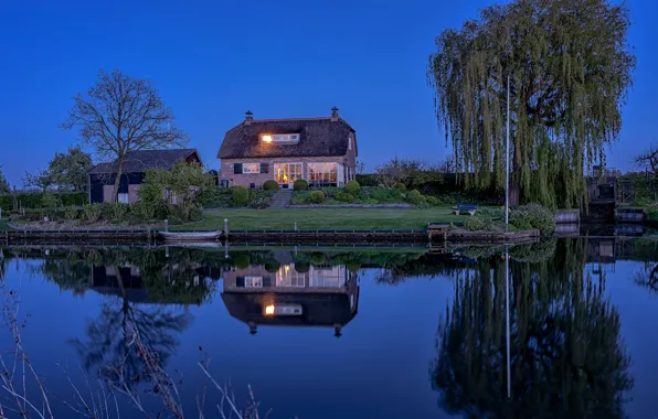 Water, trees, bench, lights, reflection, river, lawn, shore