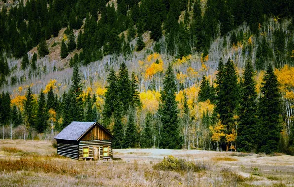 Autumn, forest, trees, mountains, house, glade, Colorado, USA