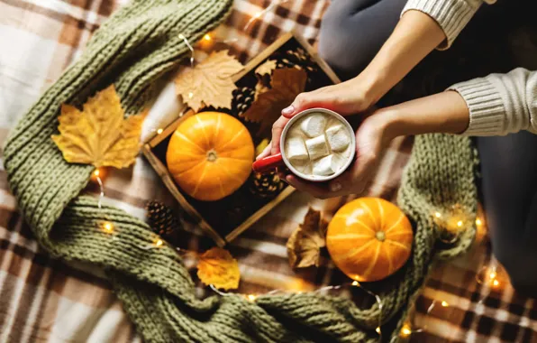 Autumn, girl, comfort, heat, table, coffee, hot, hands