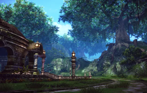 Picture forest, trees, landscape, construction, Tera, TERA online