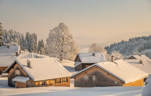 Winter, frost, forest, the sky, clouds, light, snow, pipe