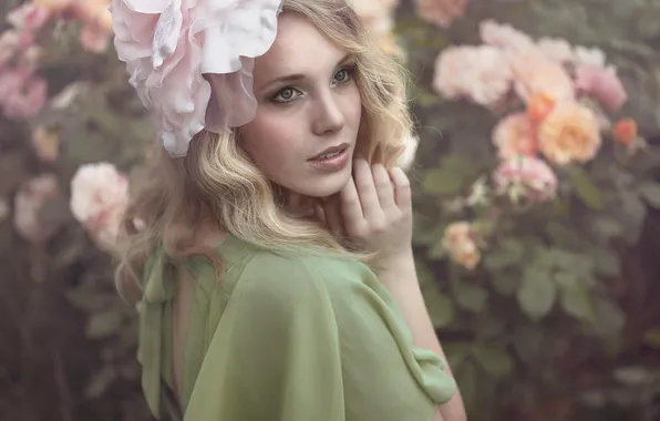 Picture flower, girl, flowers, nature, roses, dress, blonde, the bushes
