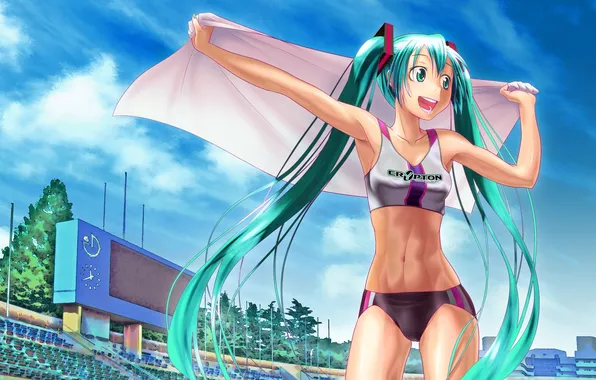 Girl, joy, vocaloid, hatsune miku, stadium