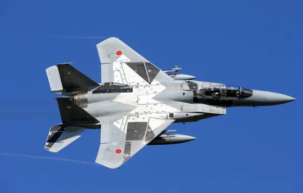 Japan, Japan, F-15, Pilot, The air defense forces of Japan, F-15DJ, Cockpit, Mitsubishi Heavy Industries