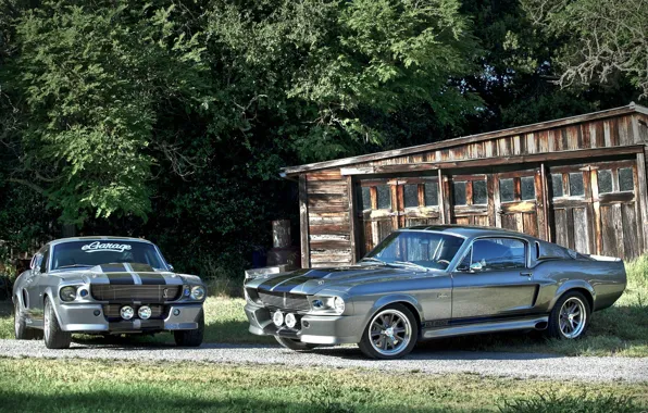 GT500, Ford Mustang, Shelby Eleanor, Ford Mustang