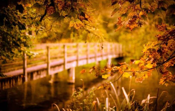 Autumn, bridge, river