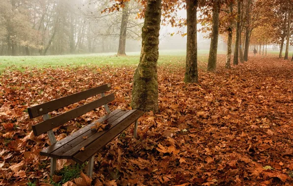 Picture the city, Park, bench