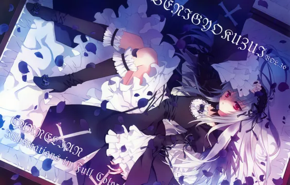 Cross, petals, suitcase, red eyes, rozen maiden, suigintou, ruffles