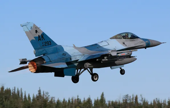 Fighter, The fast and the furious, USAF, The rise, F-16 Fighting Falcon, Chassis, Aggressor Squadron