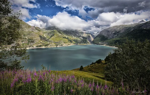 Clouds, flowers, mountains, lake
