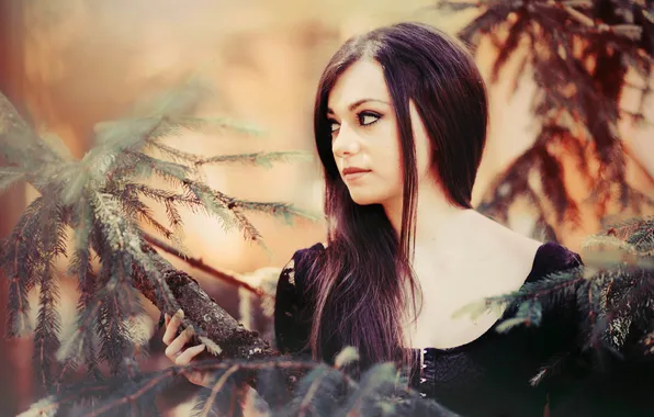 Look, girl, branches, tree, brown hair, brown-eyed