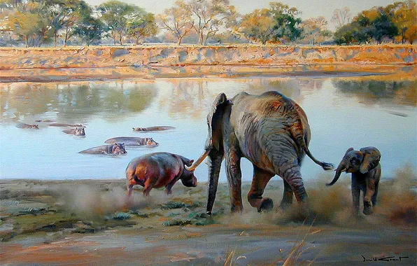 River, Picture, Elephants, Donald Grant, Hippos, British animal artist, Donald Grant, Elephant bothers hippopotamus