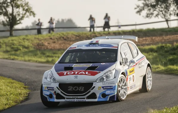 Peugeot, Peugeot, Rally, Rally, 208, ERC