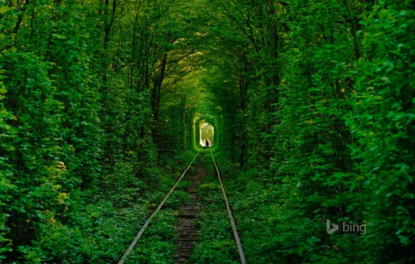 Road, forest, trees, rails, silhouette, Ukraine, tunnel of love, Klevan