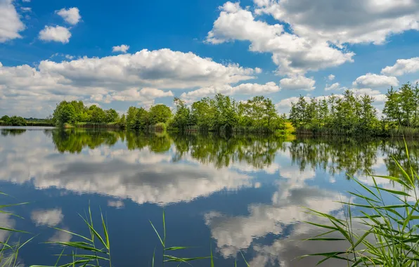 Clouds, pond, reflection, Germany, Rhineland-Palatinate