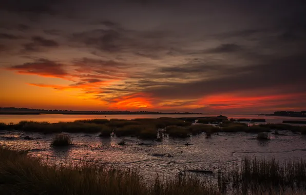 Landscape, night, Bay